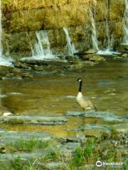 Genesee River's High Falls