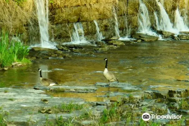 Genesee River's High Falls