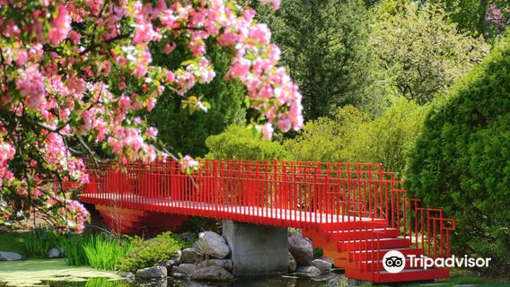 Whiting Forest of Dow Gardens