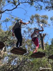 Tree Surfing Australia