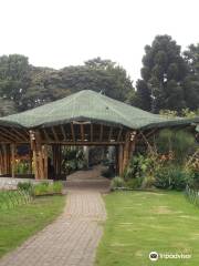 BotanicoJoseCelestinoMutis植物園