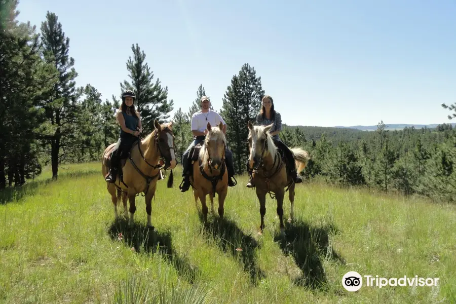 Sage Meadow Ranch