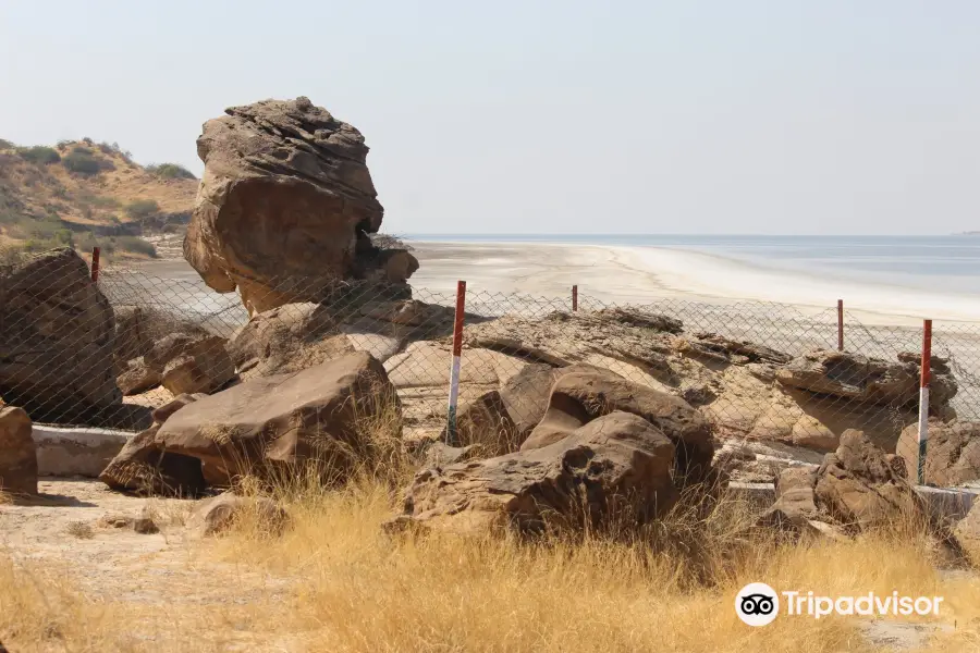 Kutch Fossil Park