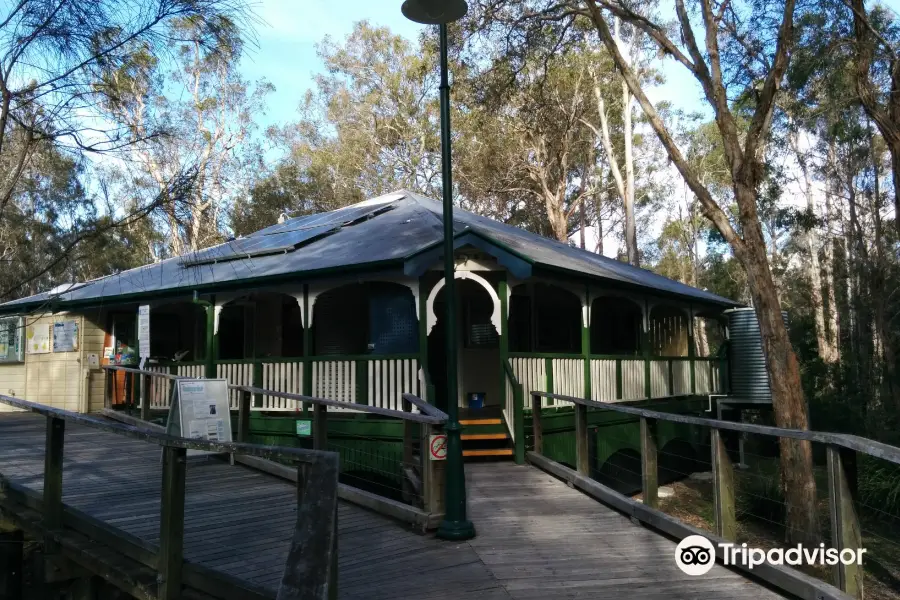 Boondall Wetlands Reserve