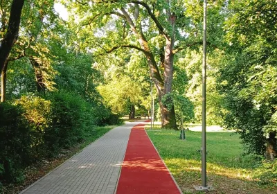 Szegedi
