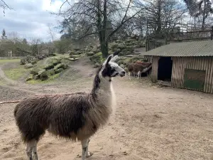 Zoological Garden in Bydgoszcz
