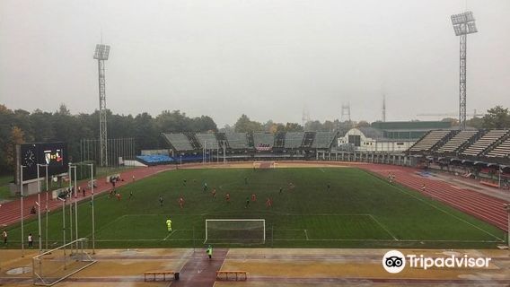 Darius and Girėnas Stadium