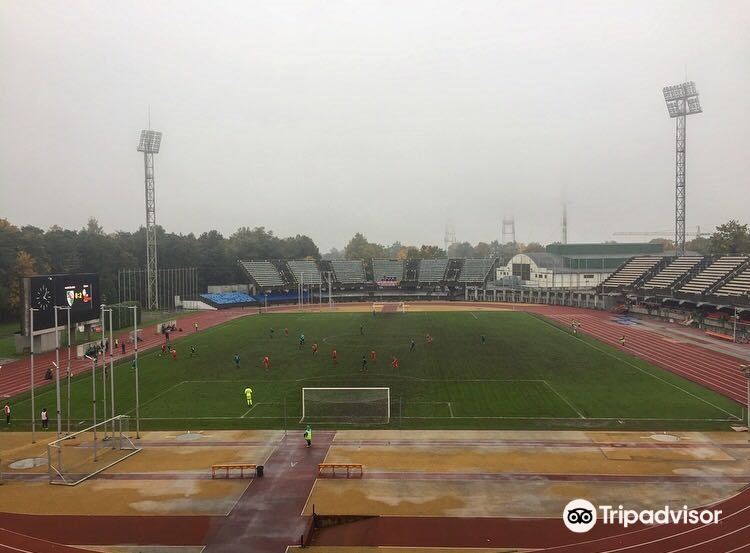 Darius and Girėnas Stadium