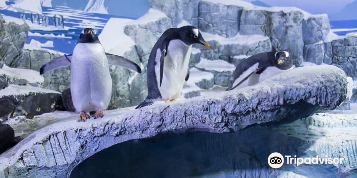 SEA LIFE Konstanz