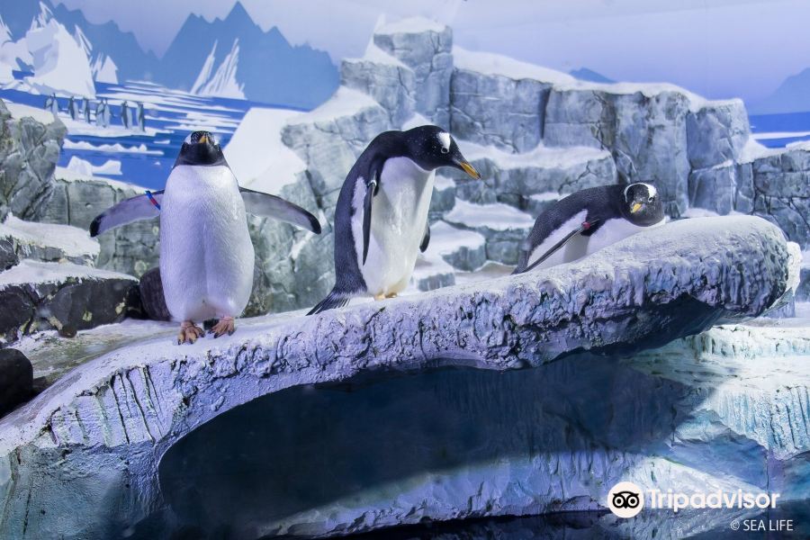 SEA LIFE Konstanz