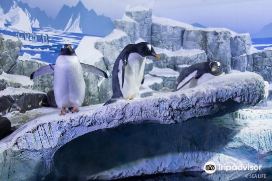 SEA LIFE Konstanz