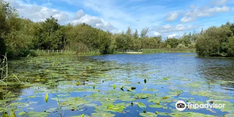 McMahon/Clare Lake Park