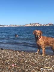 Spiaggia di Schiopparello