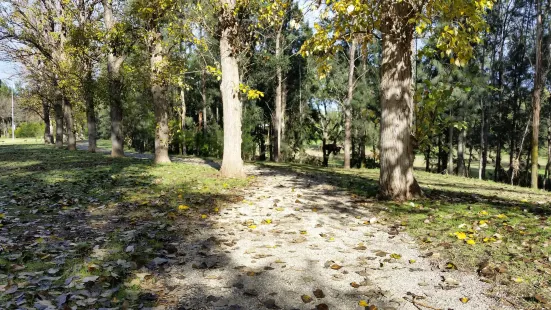 Picton Botanical Gardens
