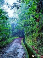 Levada Do Reí