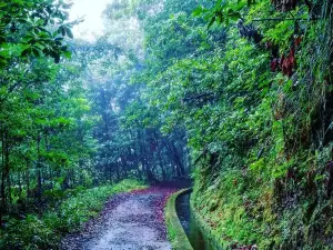 Levada Do Reí