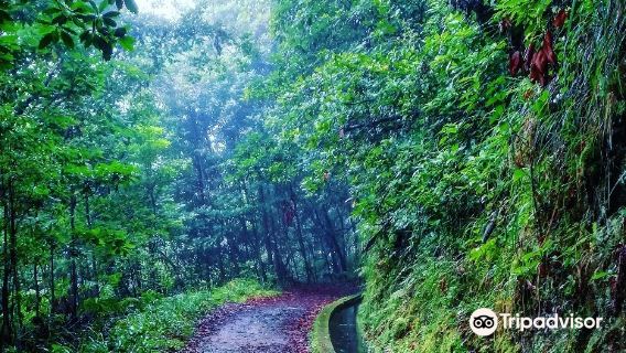 Levada Do Reí