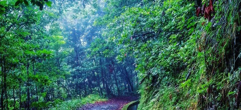 Levada Do Reí