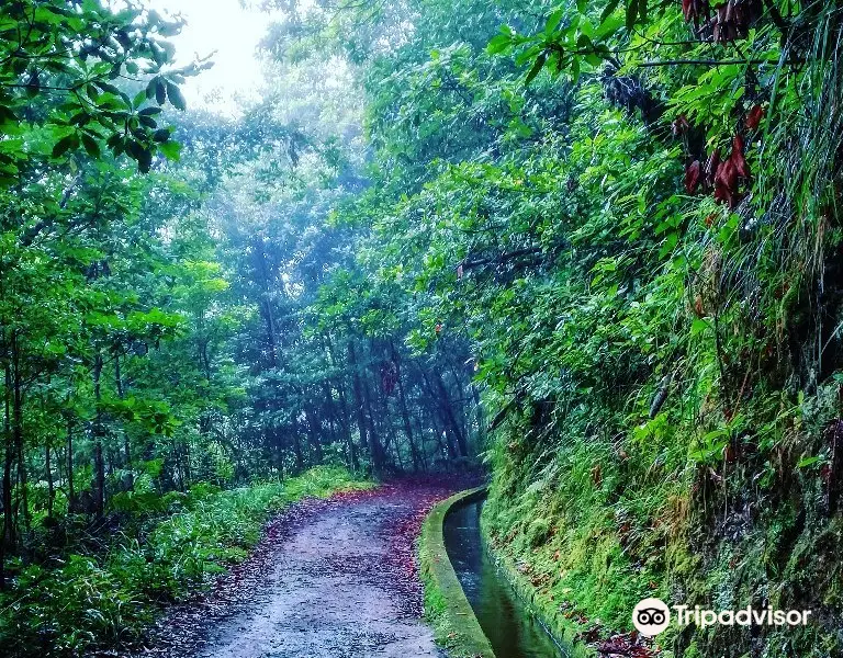 Levada Do Reí