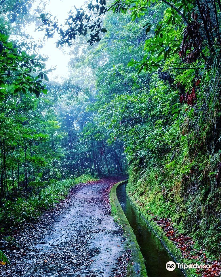Levada Do Reí