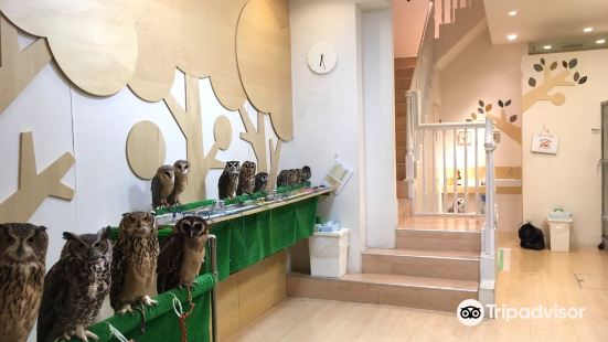 フクロウのみせ 博多店