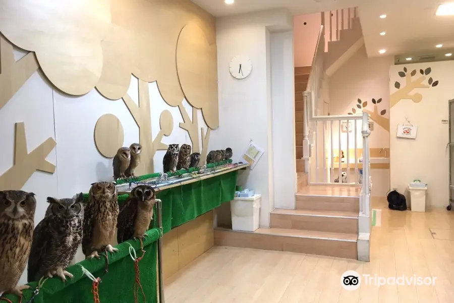 フクロウのみせ 博多店