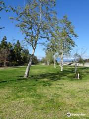 Sycamore Creek Trail