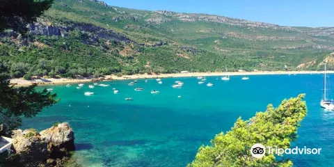 阿拉比達自然公園