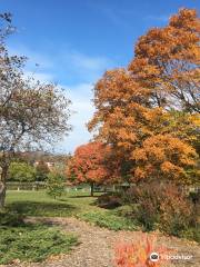 Frame Park Formal Gardens