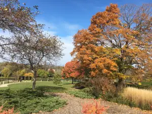 Frame Park Formal Gardens