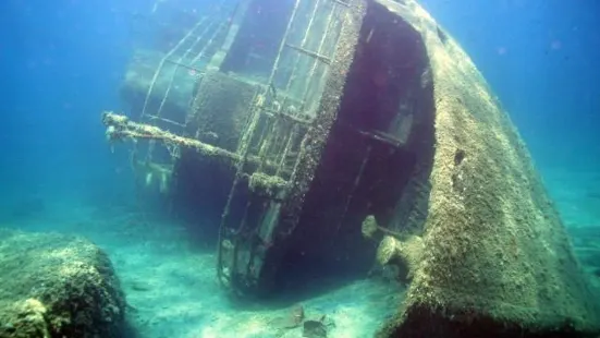 Lesvos Scuba Oceanic Center