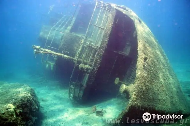 Lesvos Scuba Oceanic Center