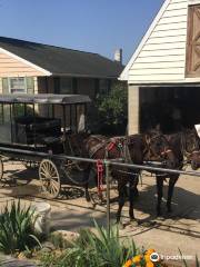 Ed's Buggy Rides