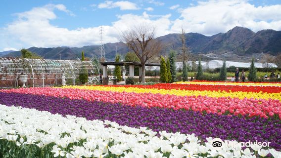 Herb garden travel diary Katsunuma Garden