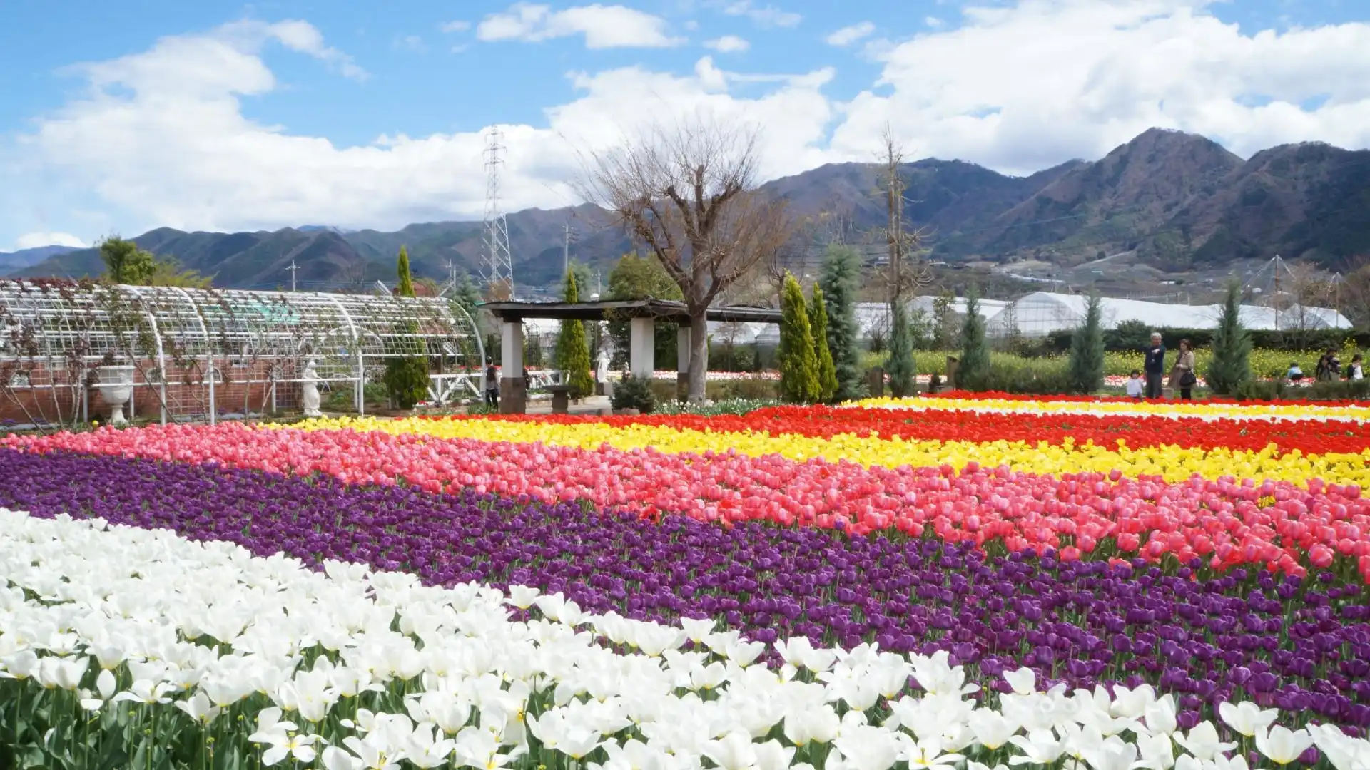 ハーブ庭園 旅日記 勝沼庭園周辺のホテル