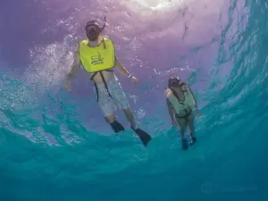 Sea Ventures Pro Dive Centers