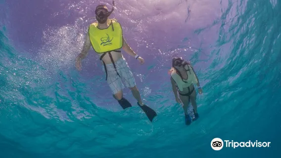 Sea Ventures Pro Dive Centers