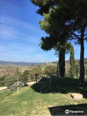 Conti di San Bonifacio Wine Resort - Vineyard Hotel in Tuscany