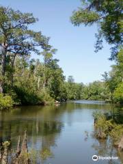 Becks Lake Fish Camp