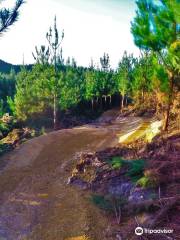 Waitangi Mountain Bike Park