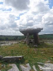 Burren Hills Walk