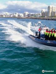 Katla Whale Watching