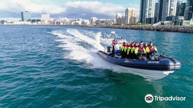 Katla Whale Watching