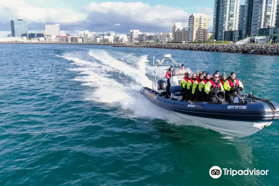 Katla Whale Watching