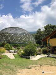 Casa Alegria, the butterfly Dome.