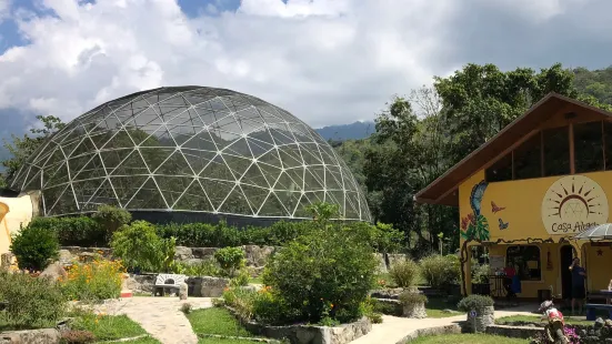 Casa Alegria, the butterfly Dome.