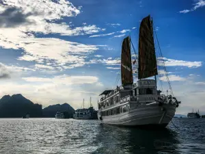 Oriental Sails - Day Cruise
