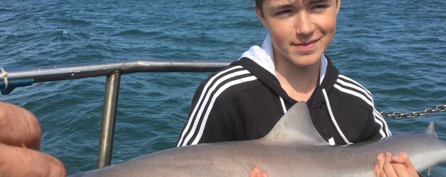 Norfolk Sea Fishing