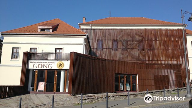 Gong Theater for Children and Youth