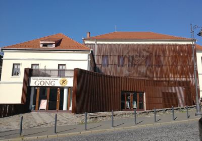 Gong Theater for Children and Youth